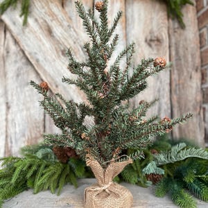 May include: A small, artificial Christmas tree with green needles and small pinecones. The tree is wrapped at the base with burlap fabric. The background includes a wooden door and evergreen branches, creating a rustic holiday theme.
