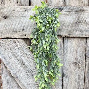 Ruscus Hanging Greenery Bush, 32&quot; Mixed Greenery Bush, Artificial Greenery, Greenery for Wreath, Wreath Supply, Floral Supply, Hanging Bush