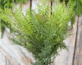 20" UV Soft Touch Asparagus Bush, Artificial Greenery Filler, 85545-UV