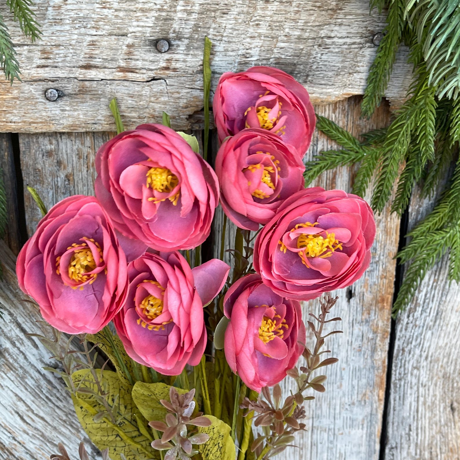 Pink Ranunculus Bush 20