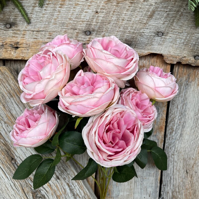 Pink Cabbage Rose - Etsy