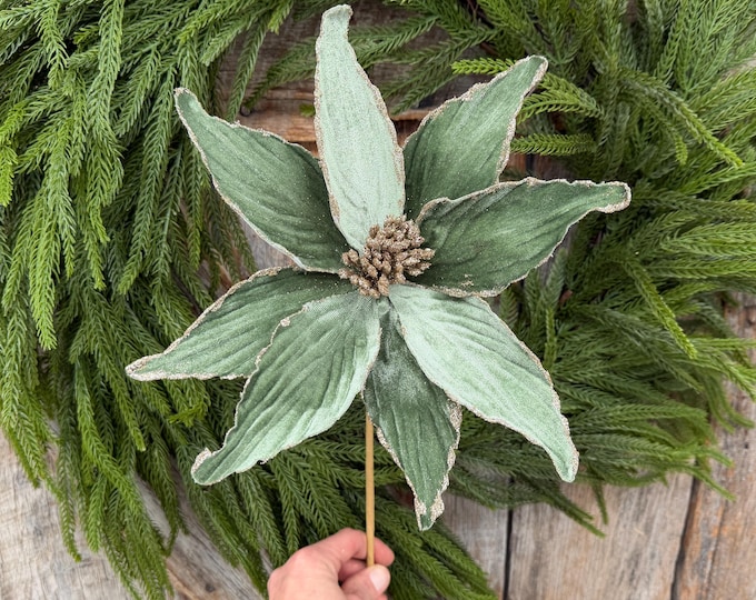 24" Sage Green Velvet Poinsettia Stem with Glitter Edges