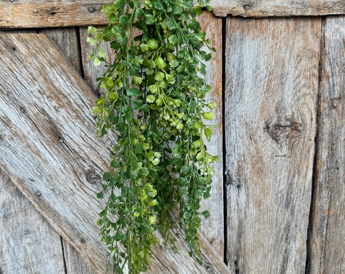 33" Hanging Maiden Hair Bush, Hanging Greenery Bush