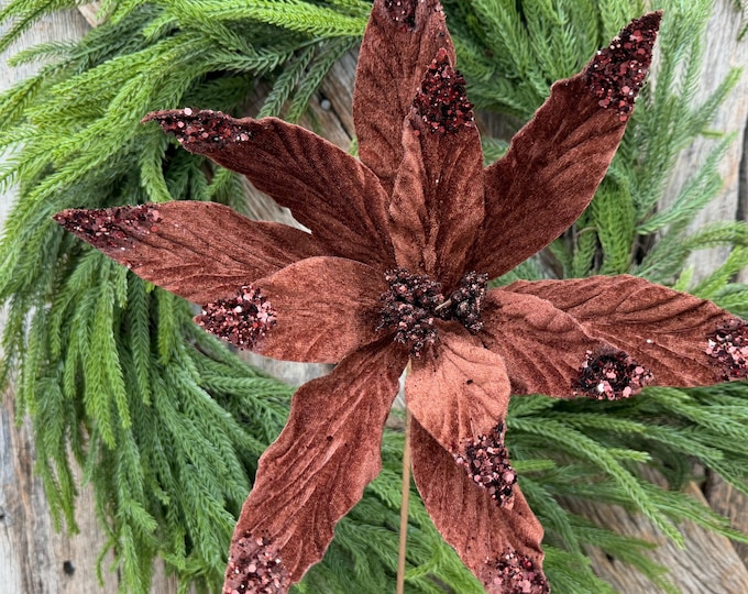 24" Chocolate Brown Velvet Poinsettia Stem