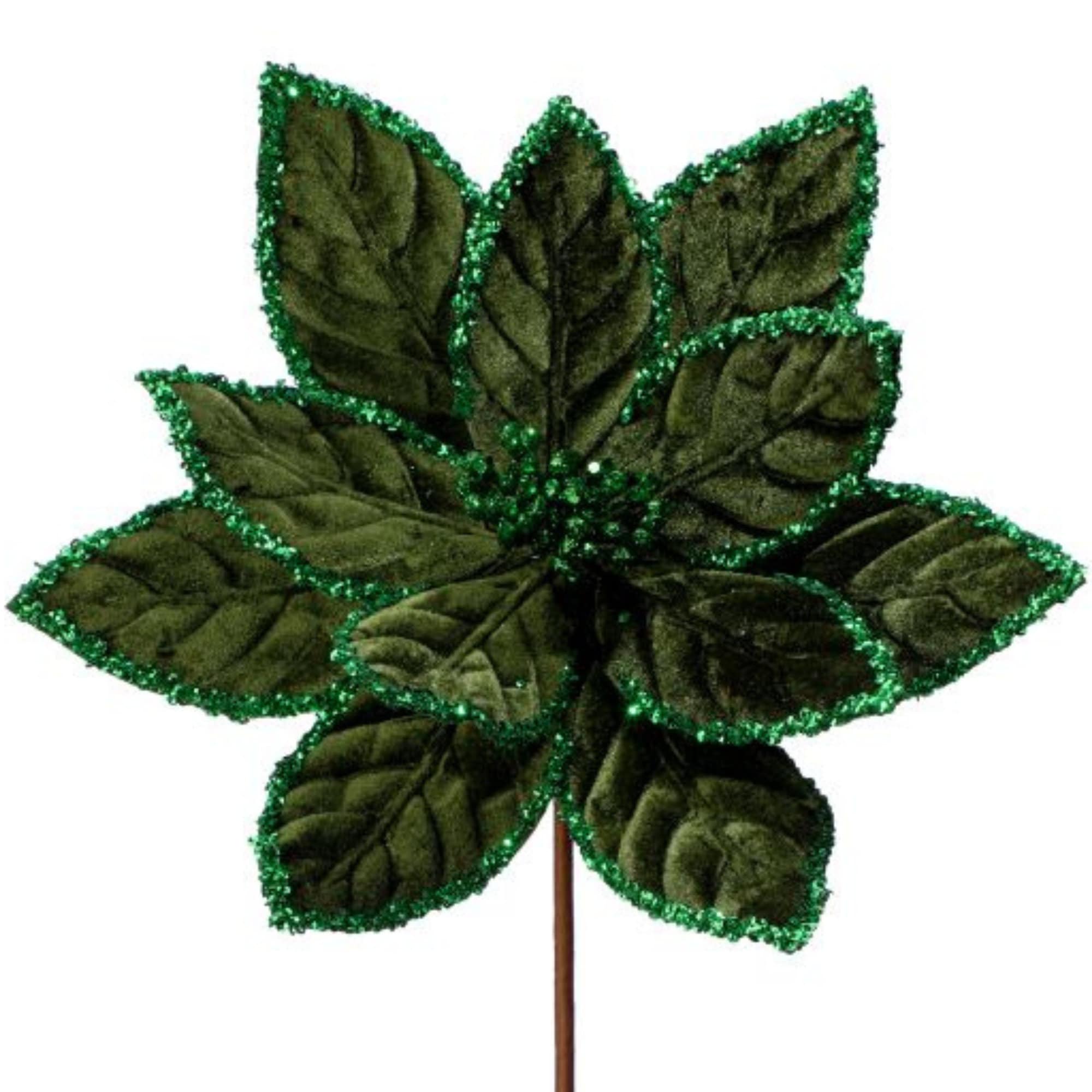 24 Emerald Poinsettia, Sequin Border Poinsettia, Poinsettia Stem