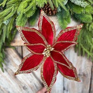 May include: A vibrant red poinsettia flower with gold trim and a gold center. The velvet petals are edged with gold, creating a festive holiday decoration. The flower is set against a backdrop of evergreen branches and a wooden surface.