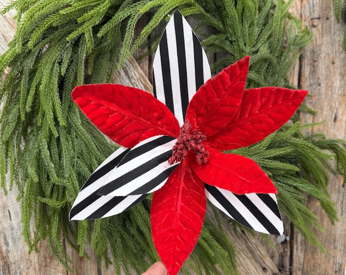 24" Red Velvet Poinsettia with Black and White Stripes