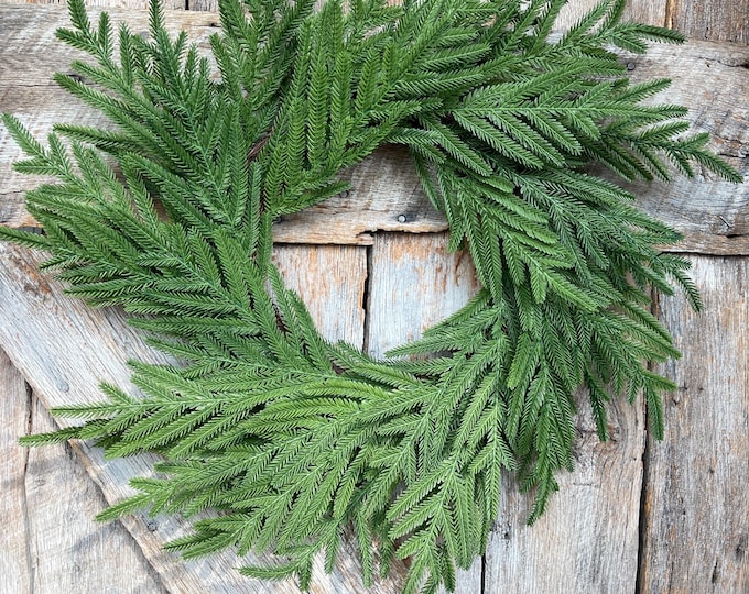24" Norfolk Pine Wreath, Real Touch Norfolk Pine Wreath, Artificial Pine Wreath, Christmas Wreath, Winter Wreath, Artificial Greenery, 84374