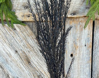 32" Black Fern Spray, Black Halloween Spray, Black Grass Spray, Halloween Greenery, Black Greenery, Artificial Greenery, 57104BK