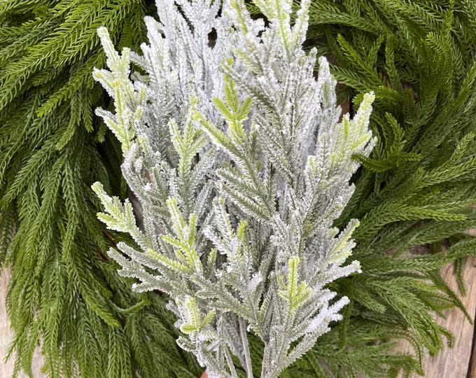 20" Flocked Norfolk Pine Bush, Flocked Pine Bush, Flocked Greenery, Christmas Spray, Flocked Christmas Spray