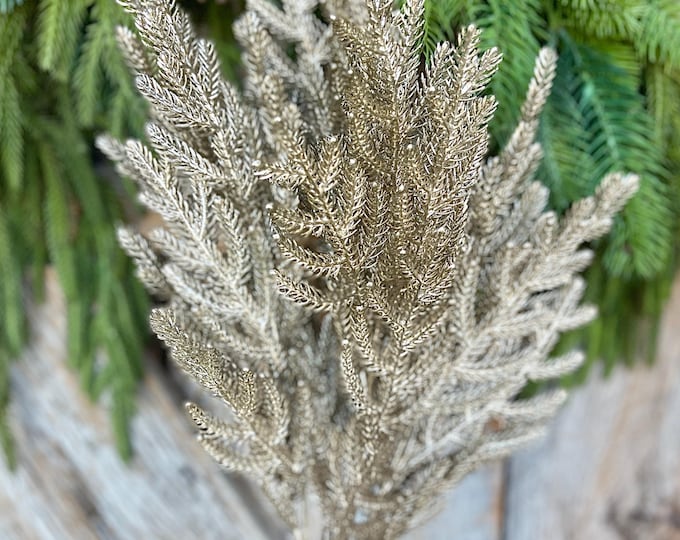 21" Champagne Gold Norfolk Pine Spray, Gold Christmas SPray, Christmas Tree Topper Spray, Gold Spray, Pine Spray, 85266-CHAMP
