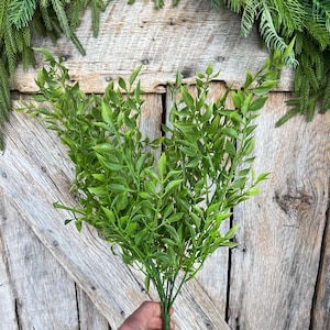 18&quot; Green Similax Bush, Greenery Bush, Spring Greenery, Artificial Greenery, Plastic Greenery, Push Up Greenery, 82378