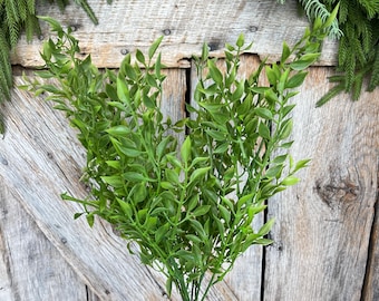 18" Green Similax Bush, Greenery Bush, Spring Greenery, Artificial Greenery, Plastic Greenery, Push Up Greenery, 82378