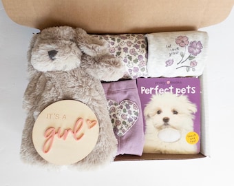 Dog Themed Baby Girl Gift Box, Puppy Lovey, Bodysuits, Pants, Board Book