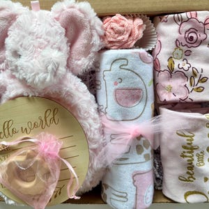 Baby Girl Gift Box Welcome Home Gift Unique Newborn Girl Complete Package Pink Soft Elephant Blanket Expecting Parent Infant Gift Basket