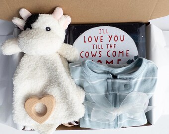 Baby Shower Gift Box –  Newborn  Boy or Girl Gift Set with Lovey & Book, Ready to Ship Baby Gift, Unique Baby Gift Basket -Cow, Koala or Fox