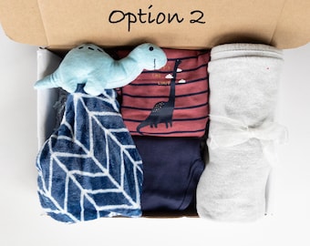 Dinosaur Baby Gift Box: 0-3 Month Bodysuit, Pants, Plush Toy, Blanket