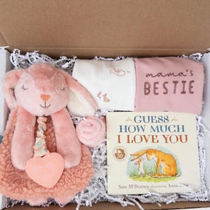 Bunny Baby Girl Gift Box, Lovey, Bodysuits, Book