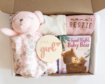 Baby Girl Gift Box Set:  Bodysuits and Bear Lovey