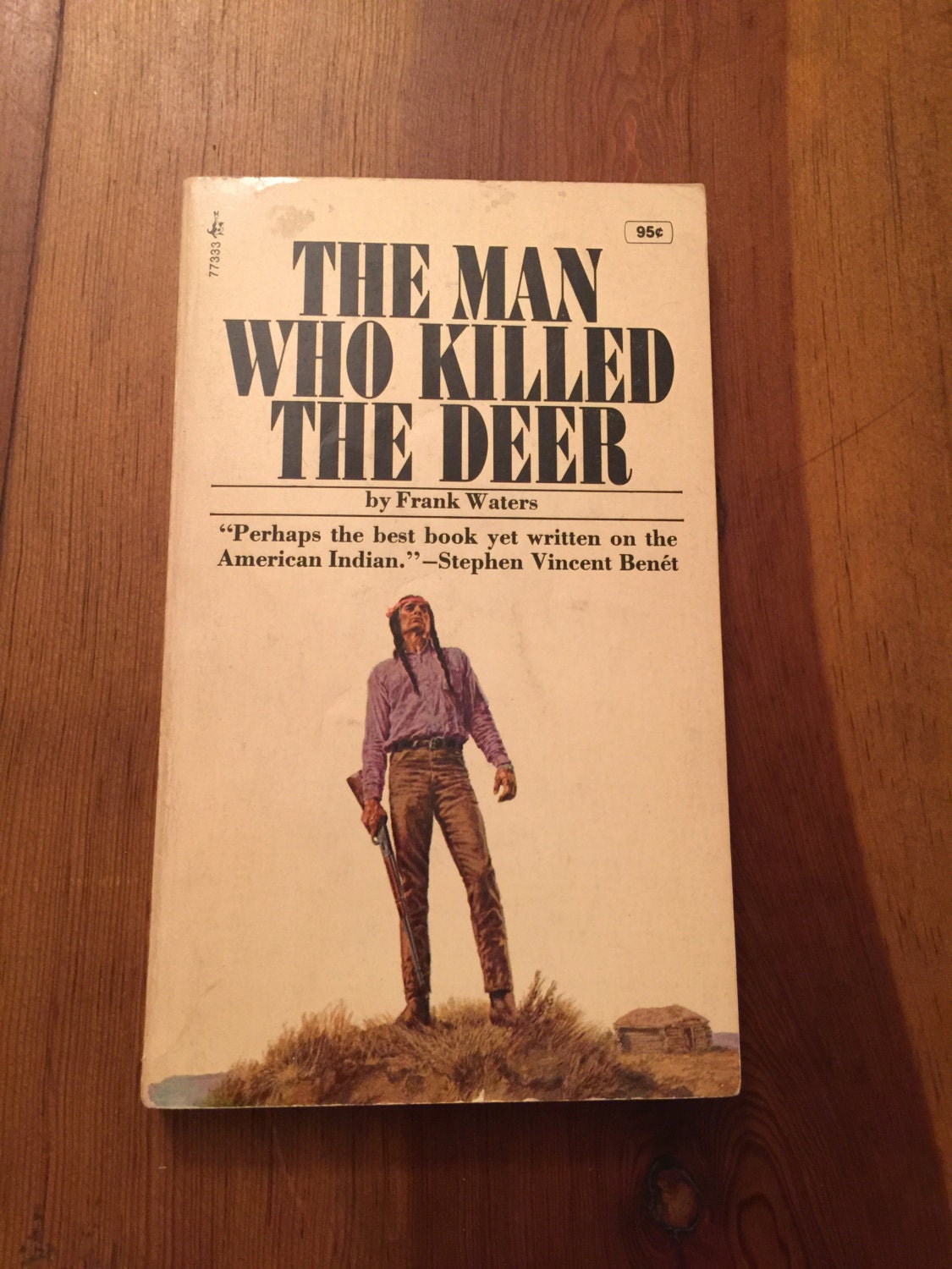 On Seeing The Cover Of A Paperback Novel