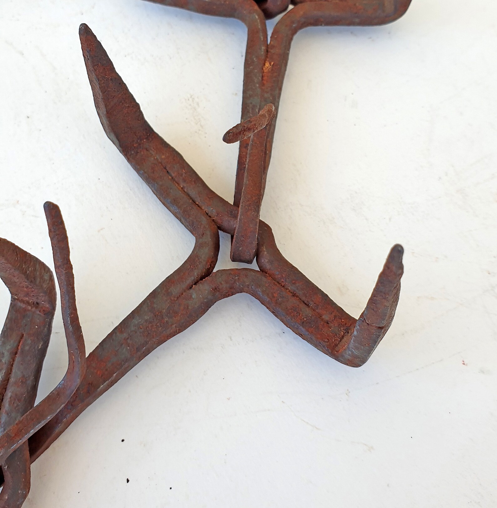 Spiked dog collar Kangal dog collar Vintage Turkish shephard Etsy