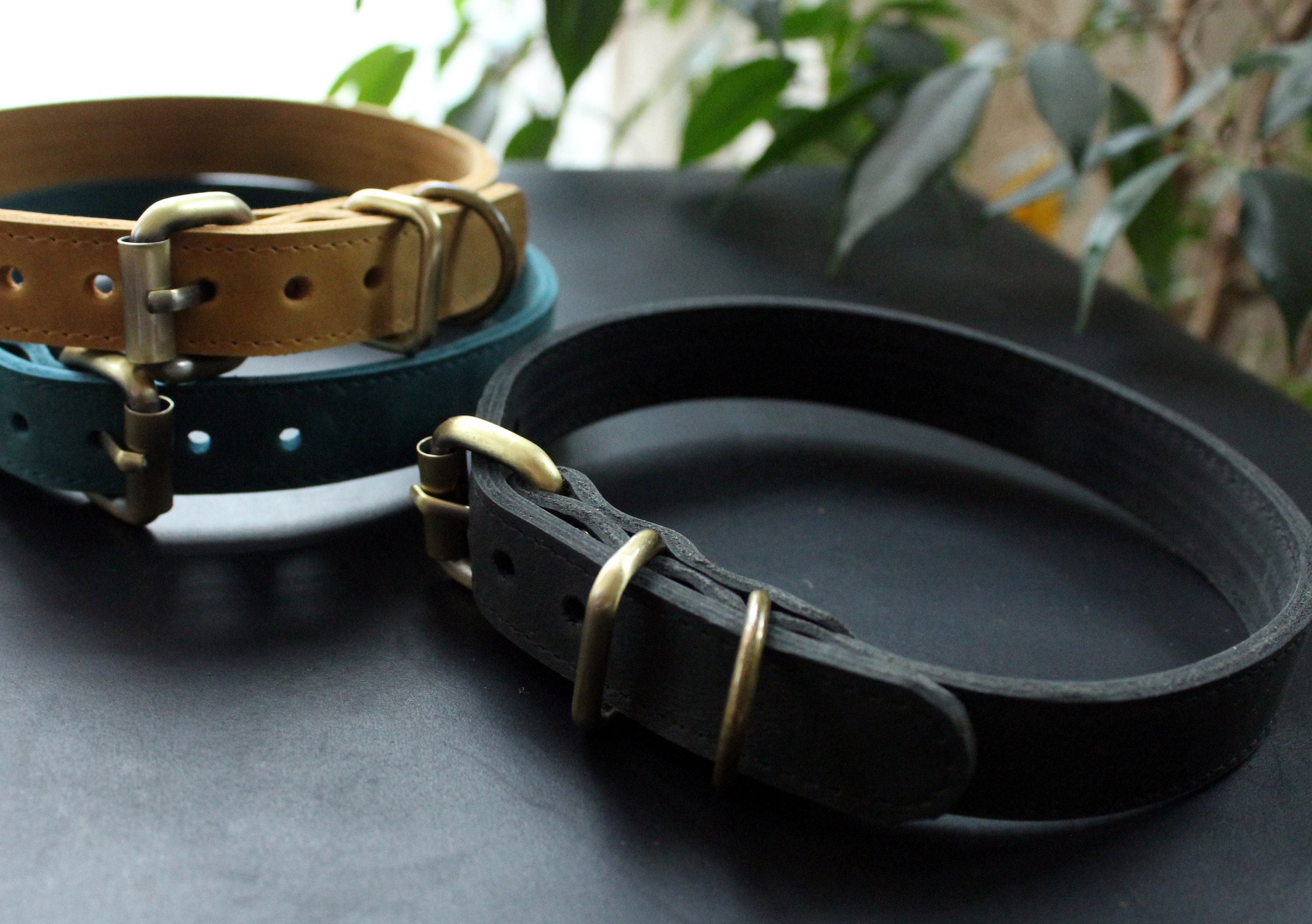 Echtes Leder einfache Hundehalsband Pet Kragen Medium Hund Etsy