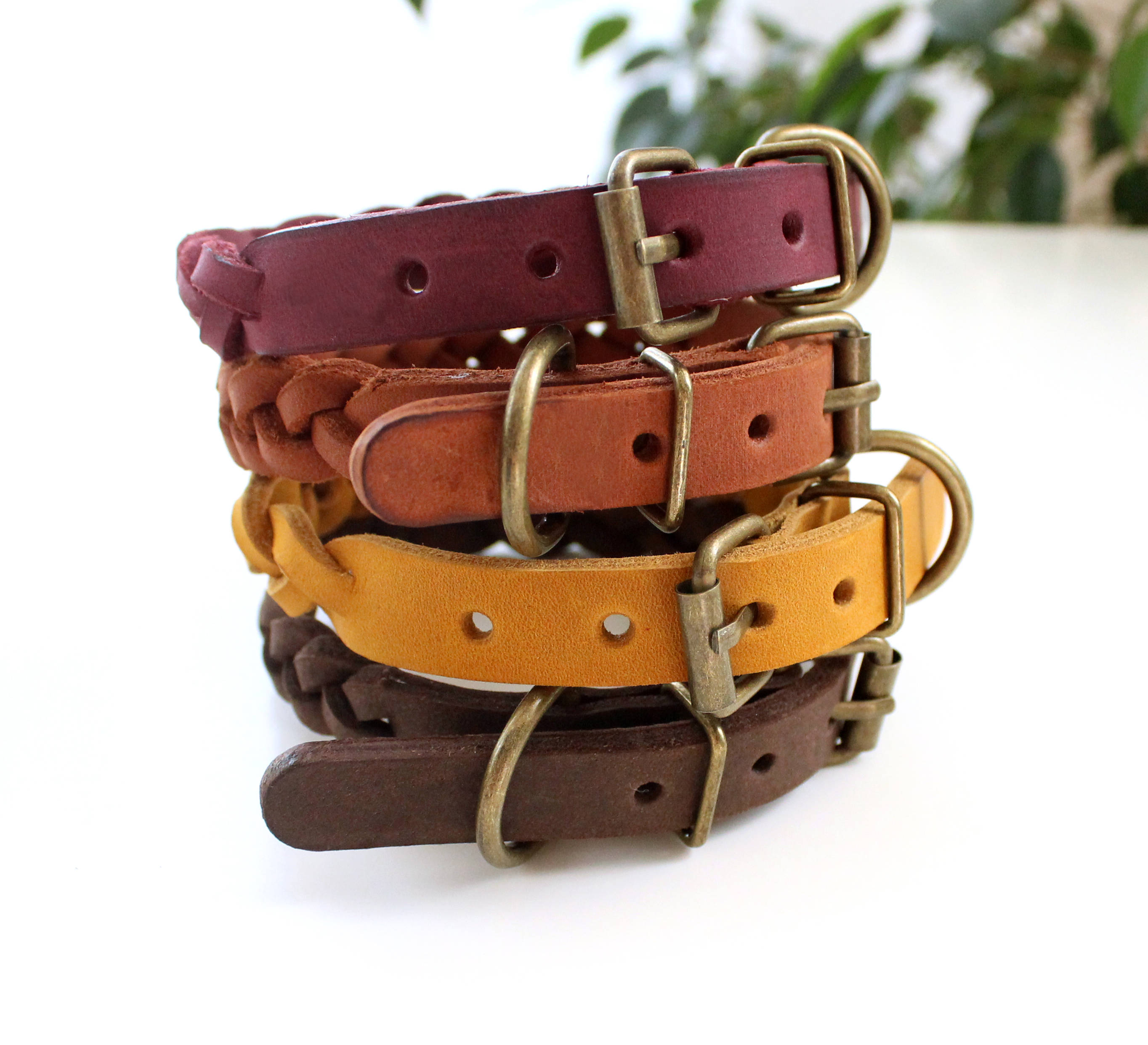 Genuine Leather braid dog collar Pet collar Small dog Cat Etsy