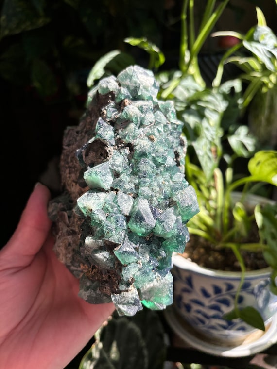 UV Reactive English FLUORITE / Diana Maria