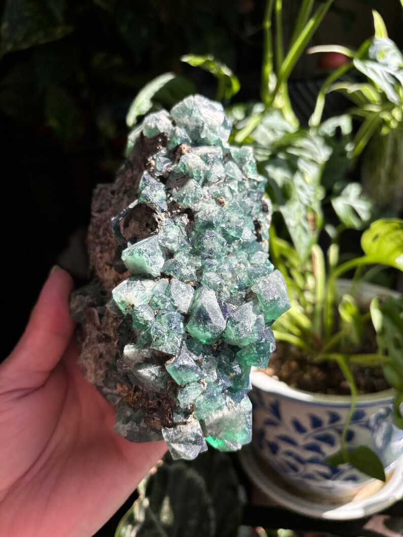 May include: A cluster of green fluorite crystals in a rough, gray matrix. The crystals are sharp and well-defined, with a glassy luster.