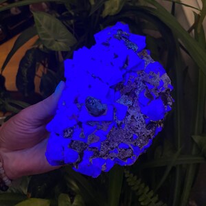 May include: A large, irregularly shaped cluster of blue fluorite crystals glowing under a UV light. The crystals have a rough, textured surface and are arranged in a chaotic pattern.