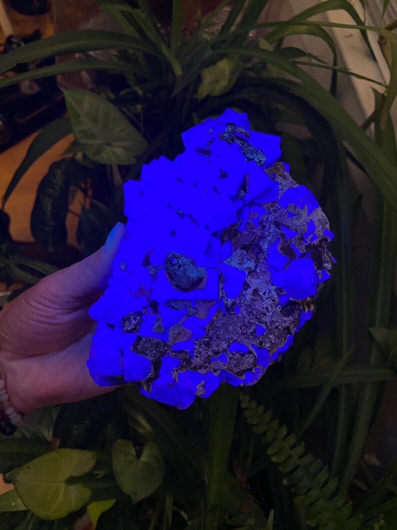 May include: A large, irregularly shaped cluster of blue fluorite crystals glowing under a UV light. The crystals have a rough, textured surface and are arranged in a chaotic pattern.