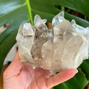 Himalayan Quartz / Chlorite