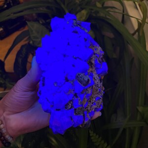 May include: A large, rough, purple crystal cluster with a blue glow under UV light. The crystal is held in a hand.