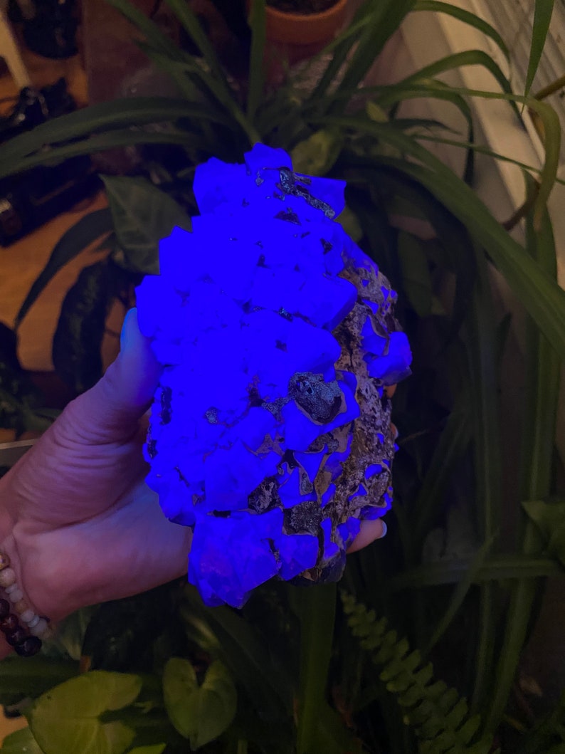 May include: A large, rough, purple crystal cluster with a blue glow under UV light. The crystal is held in a hand.