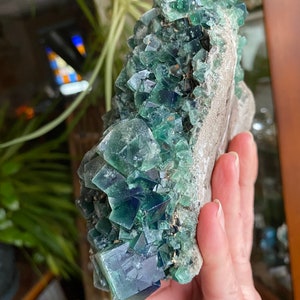 May include: A cluster of green fluorite crystals on a matrix. The crystals are sharp and well-formed, with a glassy luster. The matrix is gray and rough.