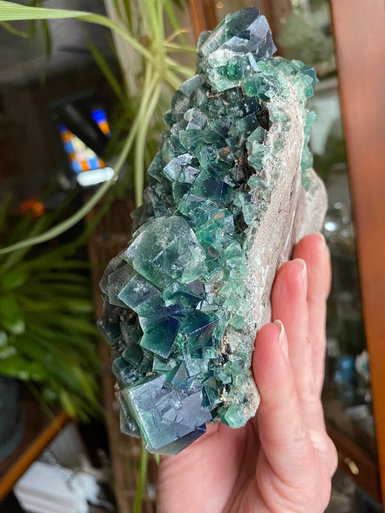 May include: A cluster of green fluorite crystals on a matrix. The crystals are sharp and well-formed, with a glassy luster. The matrix is gray and rough.