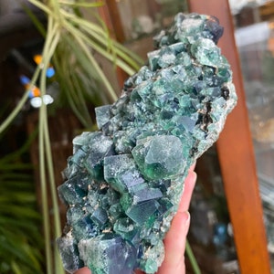 May include: A large cluster of green fluorite crystals with a dark green to blue hue. The crystals are clustered together in a rough, natural formation.