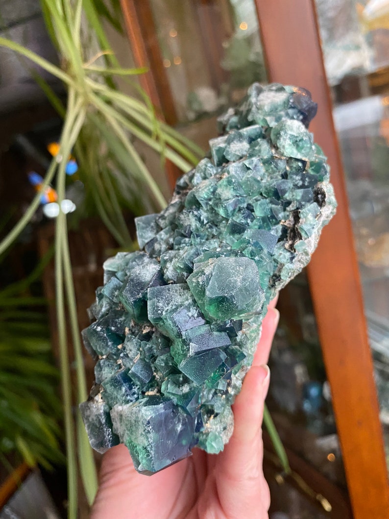 May include: A large cluster of green fluorite crystals with a dark green to blue hue. The crystals are clustered together in a rough, natural formation.