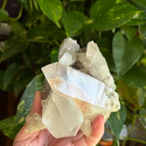 Himalayan Quartz / Chlorite