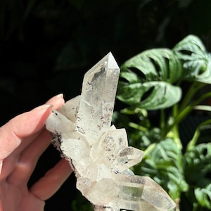 Himalayan Quartz / Chlorite