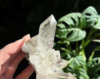 Himalayan Quartz / Chlorite