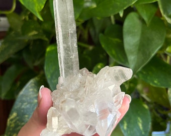 May include: A large clear quartz crystal cluster with a single, tall point. The cluster is made up of many smaller crystals that are clustered together.