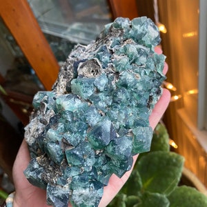 May include: A large cluster of green fluorite crystals with a rough, natural texture. The crystals are clustered together in a dense formation, creating a visually interesting and unique piece.