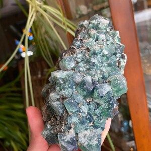 May include: A large cluster of green fluorite crystals with a rough, natural texture. The crystals are clustered together in a dense formation, creating a visually interesting and unique piece.