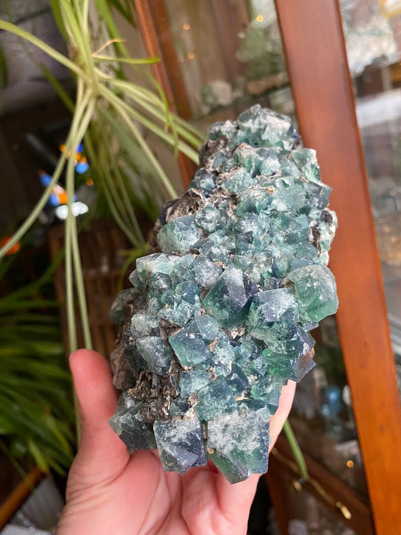 May include: A large cluster of green fluorite crystals with a rough, natural texture. The crystals are clustered together in a dense formation, creating a visually interesting and unique piece.
