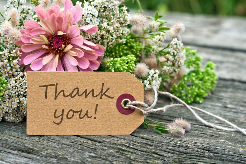 K&ouml;nnte beinhalten: Ein rechteckiges Geschenkanh&auml;nger aus beigem Papier mit dem in dunkelbrauner Schreibschrift gedruckten Text Thank you!. Der Anh&auml;nger hat eine weinrote &Ouml;se und eine naturfarbene Kordel und liegt vor einem Strau&szlig; aus rosa Zinnien und wei&szlig;en Bl&uuml;ten.
