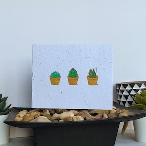 Carte de graines de plantes succulentes