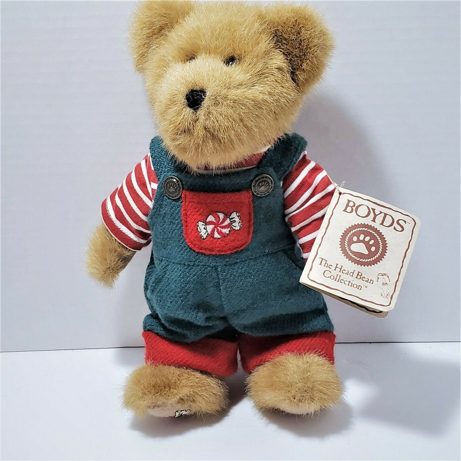 teddy bear with green overalls