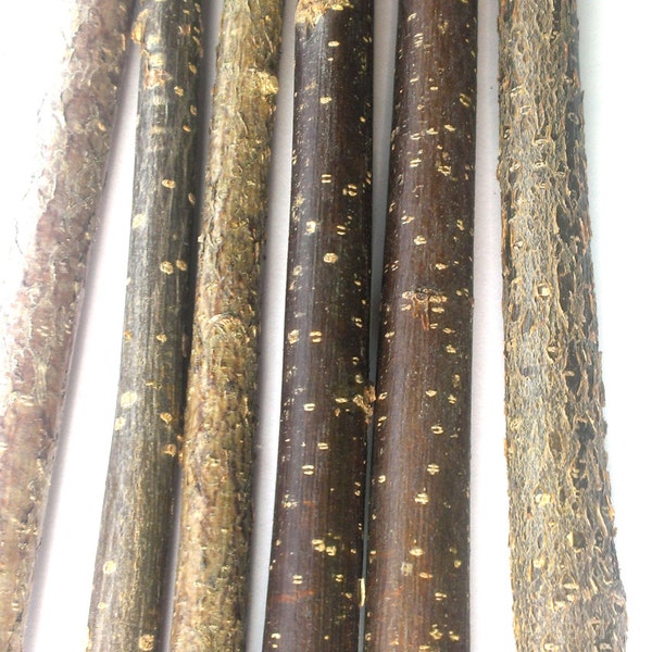 10 pc. Nutwood Tree Branch, Nutwood Sticks, Nutwood Wood Logs, Decorative Twigs, Rustic Wedding Decor, Nutwood Sticks For Handmade