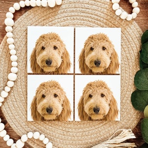Golden Doodle Coasters - Set of 4 Coasters - Golden Doodle owner- gift for Golden Doodle lover - Golden Doodle gift - cute dog decor